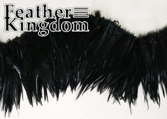 black rooster feather 3-700