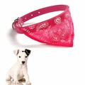 Creative Home Creative Multipurpose Portable PU Fashion Environmental Quality Pet Dog Collar Cat Necklace Scarves