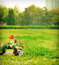 Custom Backdrops Photography Children Backgrounds Landscape Photo Studio Backdrops Backdrops For Photography