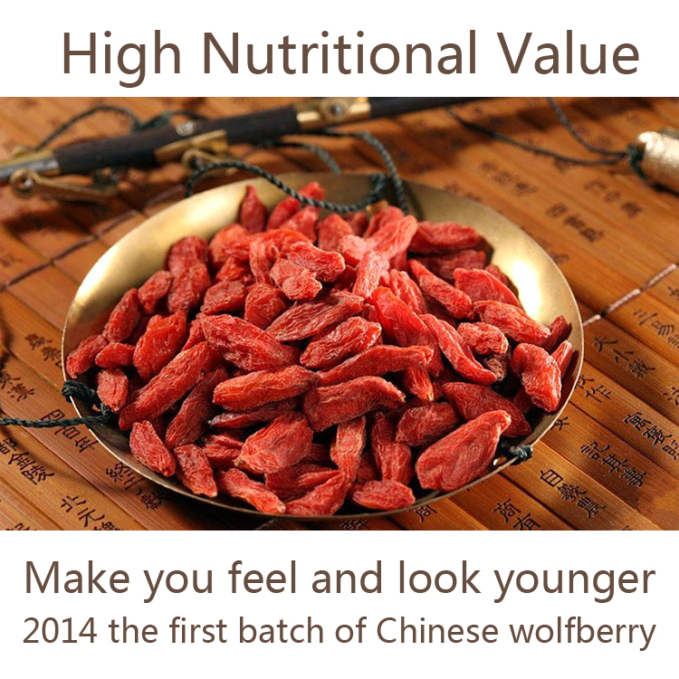 China ningxia Local Specialties 5A herbal Gouqi berry medlar seeds goji berries dried fruit tea barbary