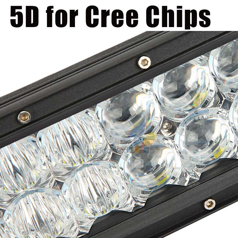 5d chips