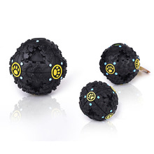 Feeding Food Ball Pet Dog Voice Sound Ball Toy Pets Training Tool Funny Products E2shopping