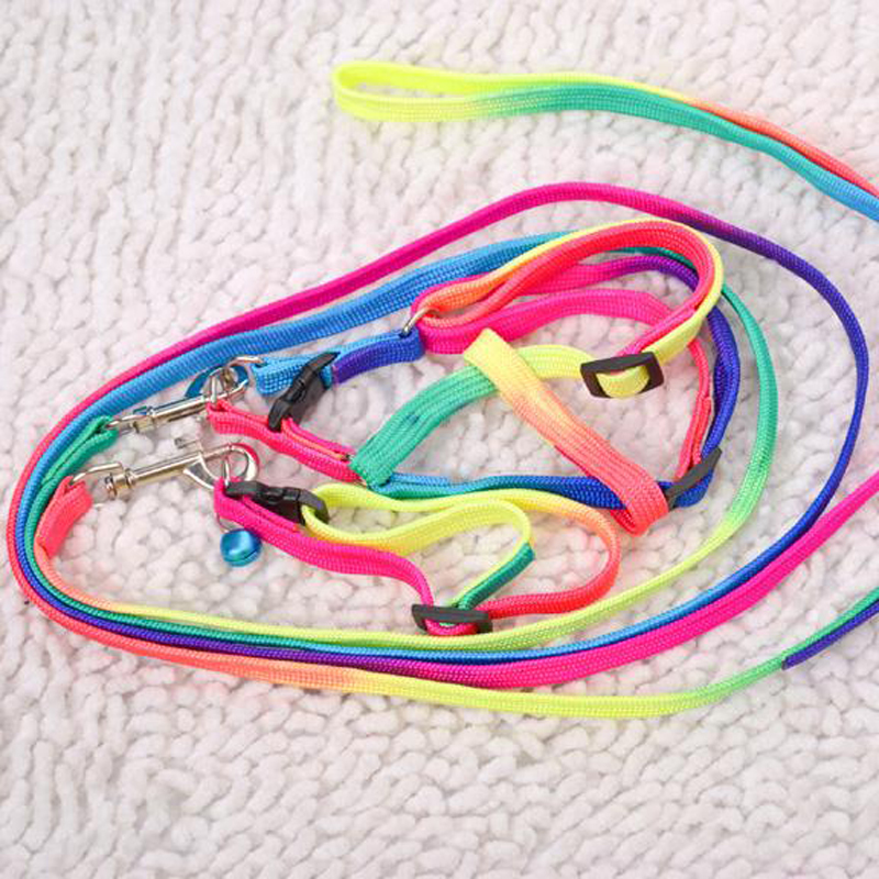 buy grosir rainbow anjing from china rainbow anjing buy grosir rainbow anjing from china rainbow anjing