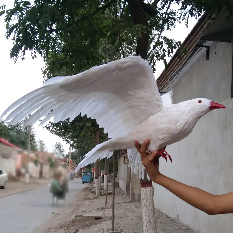 white dove plush