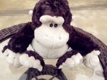 35cm New Germany NICI Jungle BrotherBlack gold gorilla plush toy doll jungle series doll birthday Christmas Gifts 1pcs/lot