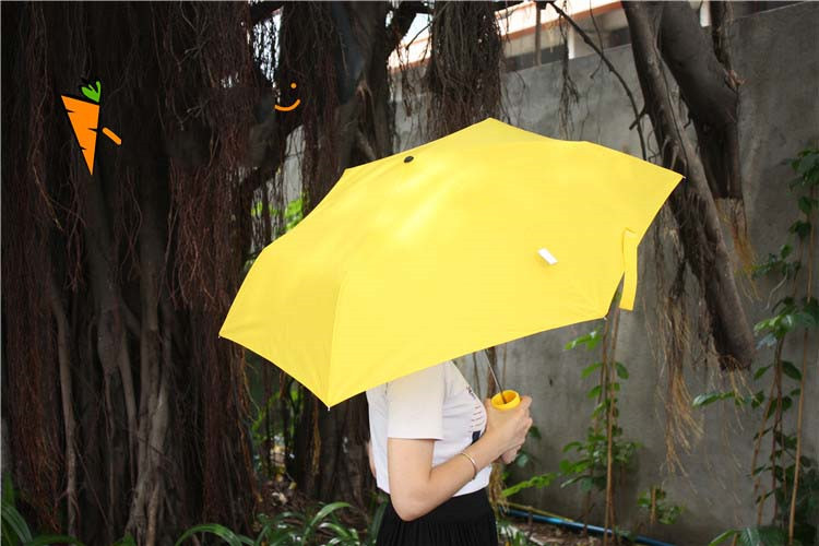 umbrella umbrellas guarda chuva10.jpg