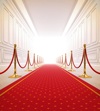 300*200cm(10ft*6.5ft) Wedding background red carpet gallery photography backdrops photo studio props baby