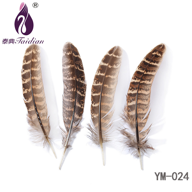 Feathers10-16cm