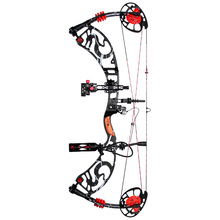 Dragon tales hunting compound bow 40 60lbs Black color bow and arrow set Cjina archery