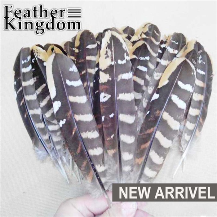 Reeves pheasant feather 10