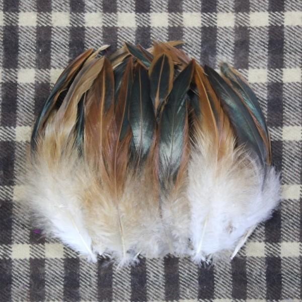 feather 012
