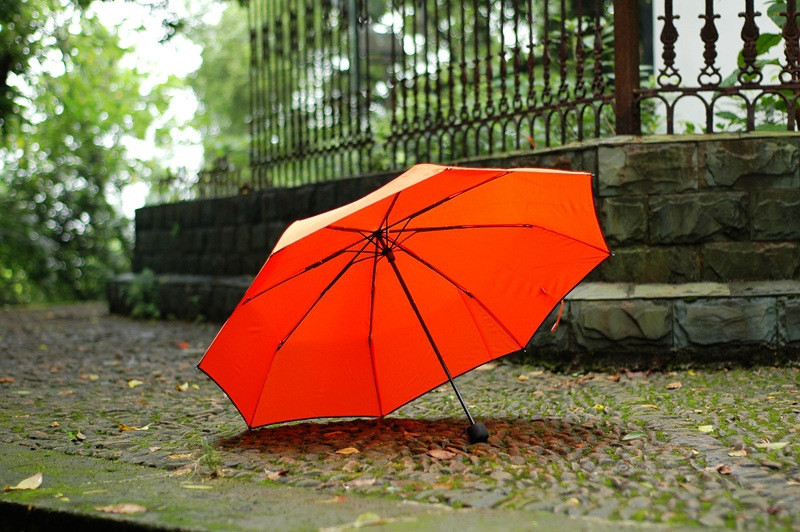 umbrella Paraguas parapluie20.jpg