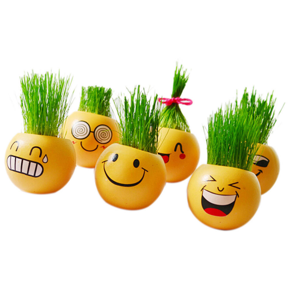 6 Blumentöpfe Werbeaktion-Shop für Werbeaktion 6 Blumentöpfe bei