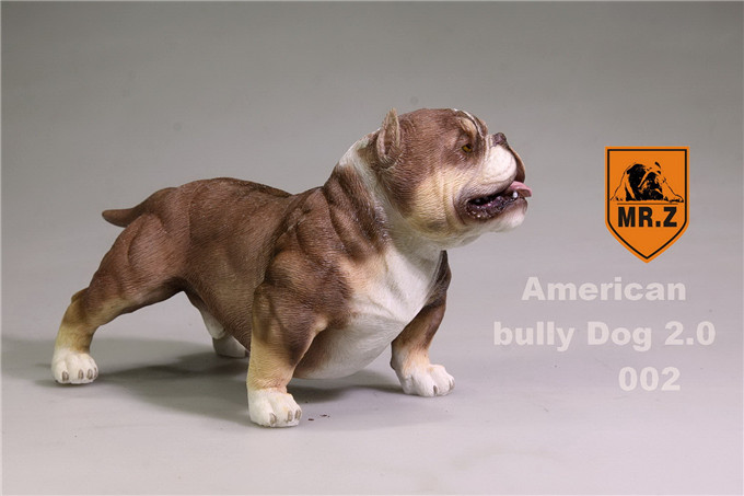 Mr.Z Animal Simulation Pitbull For 12/" Figure Scene 1:6 American Bully Dog 2.0