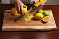 Citrus Lemon Zester Cheese Grater Parmesan Cheese Lemon Ginger Garlic Chocolate Fruits Razor Sharp Stainless Steel