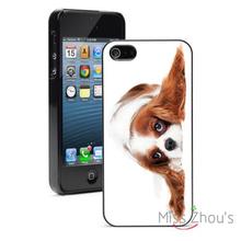 Cavalier Spaniel Puppy Dog Protector back skins mobile cellphone cases for iphone 4/4s 5/5s 5c SE 6/6s plus ipod touch 4/5/6