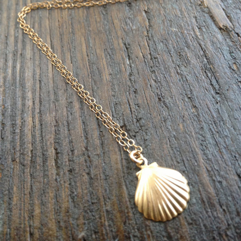 Seashell   Seashell       XL219