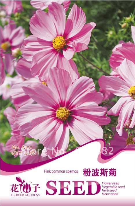 Карликовое дерево FLOWER GODDESS 3 * 50 A177 карликовое дерево flower goddess 3 nutate 50 a101