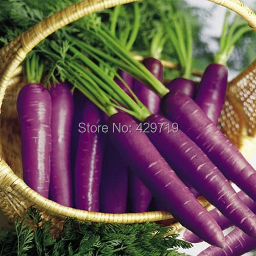 Purple carrot coupon code