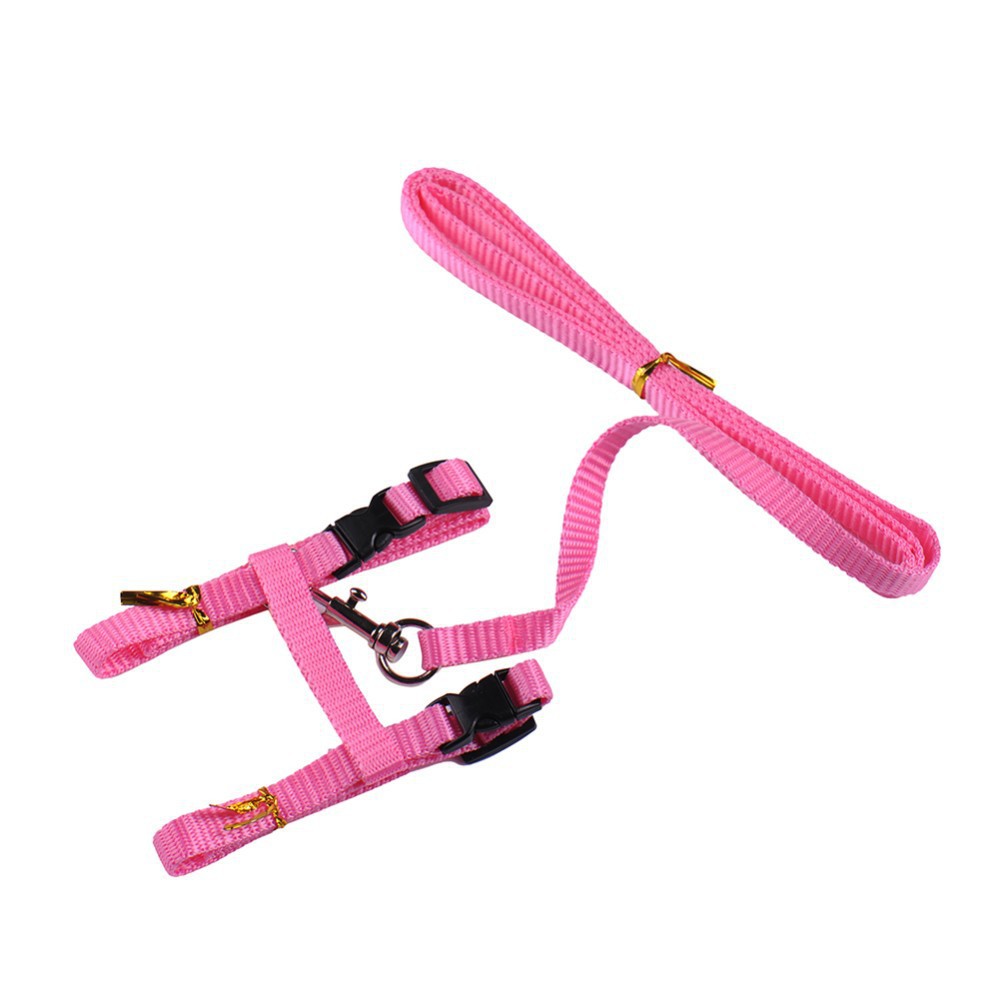 Cat Harness And Leash Hot Sale 3 Colors Nylon Products For Animals Adjustable Pet Traction Harness