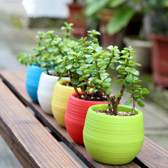 Flower Pot Modern Design Plastic Home Garden many sizes & colours Pot 