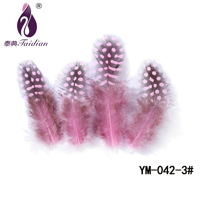 YM-042-3# Guinea pearl Fowl Feather