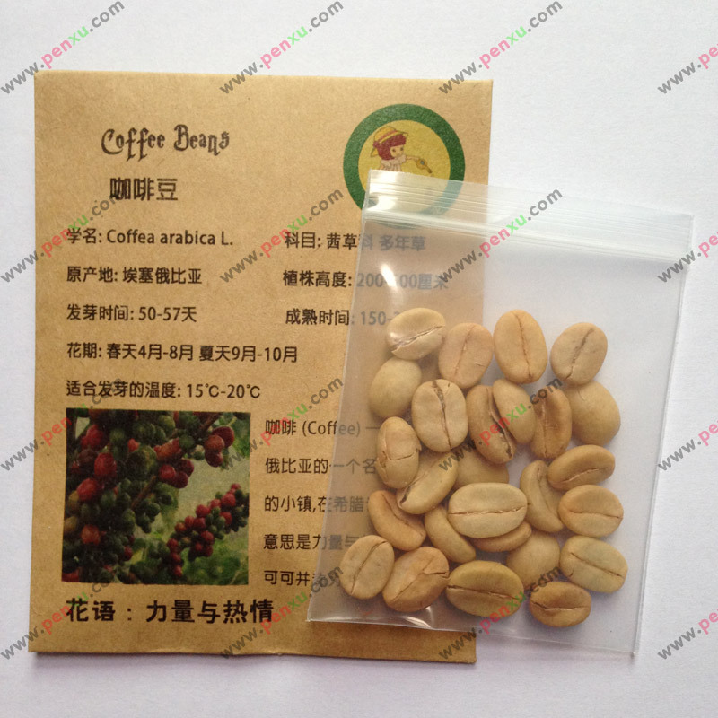 Chinese Coffee Beans  -  6