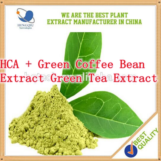 Natural Weight Loss Ingredients HCA Green Coffee Bean Extract Green Tea Extract Raspberry Extract 500mg x