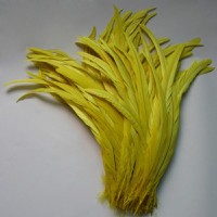yellow rooster feathers