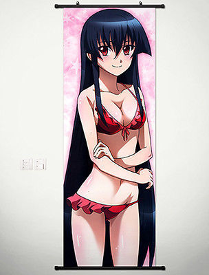 Home Decor Anime Akame ga KILL Wall Scroll Poster Akame