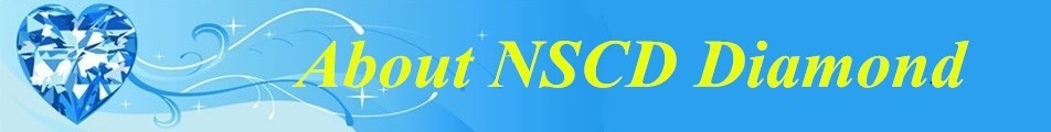 About NSCD