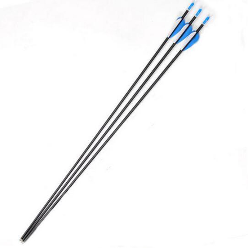 80cm 6pcs lot Carbon Arrow 6mm Archery Arrow Spine 800 Carbon Outdoor Hunting Arrows With Steel