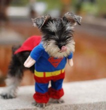 Pet clothes Dog puppy cotton superman clothes Halloween Apparel Costumes Outfit Suit Cat Dog Clothing Outer coats Free shipping