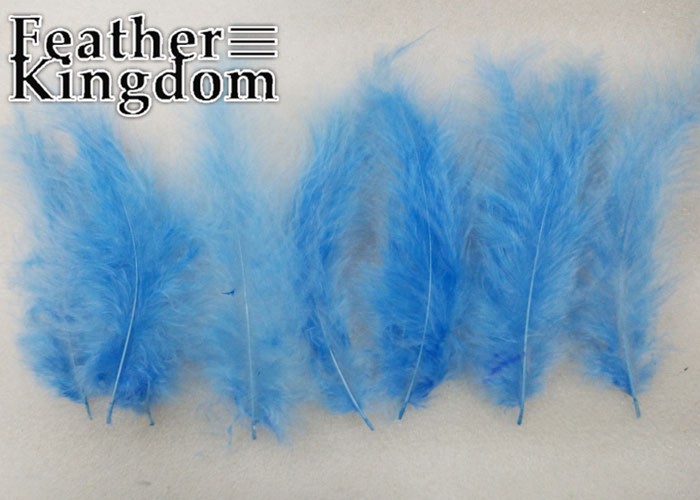 light blue Turkey feather 1