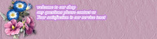 HTB1js0vHXXXXXaWXVXXq6xXFXXXN