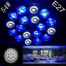 12blue LED Aquarium Light Bulb