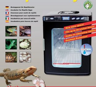 turning-egg-Professional-egg-incubator-For-Reptiles-chameleon-tortoise 