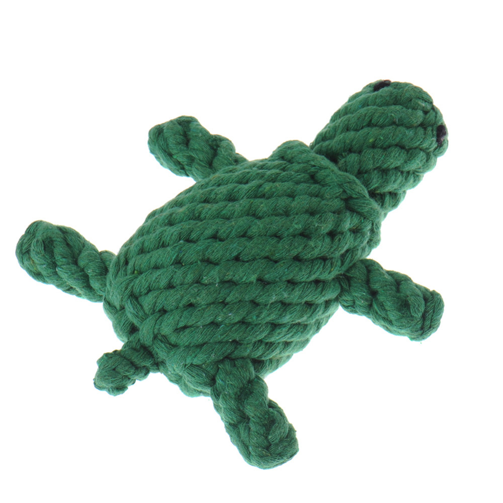 DY389-Turtle (4)