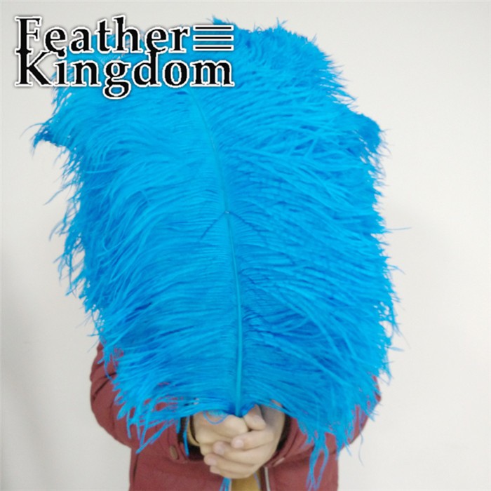 50-55cm turquoise ostrich feather