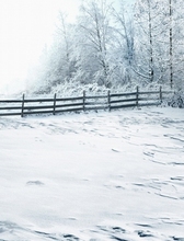 2.15M*1.5M(7FT*5FT) Frozen photo studio floor The fence empty far forest Christmas backgroundsZZ 1958