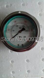 100mm 250MPa pressure gauge.jpg