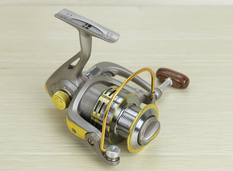 2265122858_1498406544