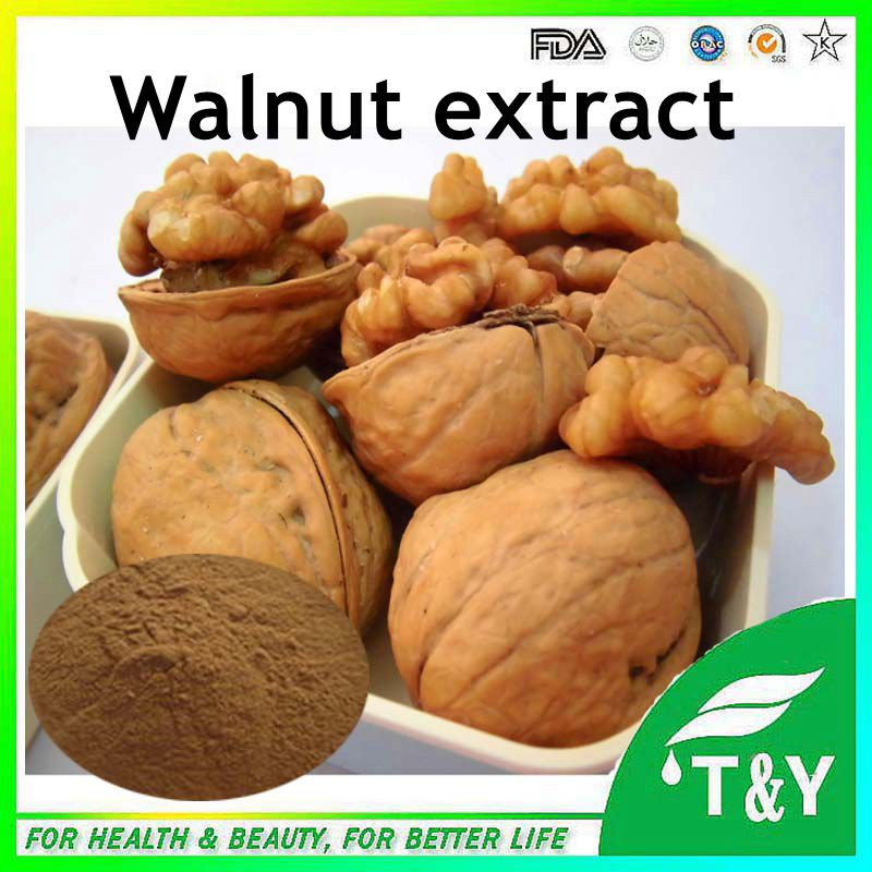 Hot Sale Black Walnut Extract,Walnut Extract,Juglans regia Linn Extract Powder