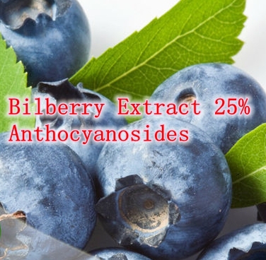 Hotsale 10bottle Bilberry Extract 25% Anthocyanosides 500mg x 900caps powerful antioxidant free shipping
