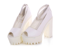 2015 new women shoes summer style sandals Rome fish mouth shoe buckle high-heeled thick waterproof platform fashion sexy DZD851