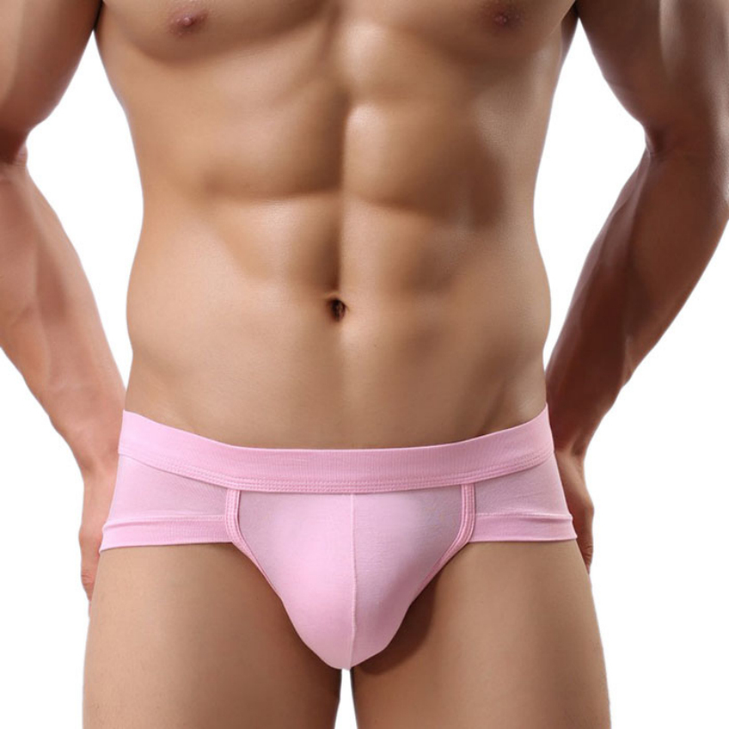 70116 Amazing New Men Sexy Underwear Men s Briefs Soft Underpants 5Colors Free Shipping