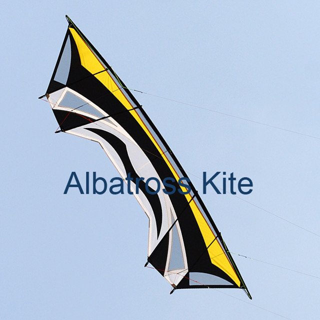 Albatross 2.8m stunt kite with lines and handles/ New Pro 2.8m quad