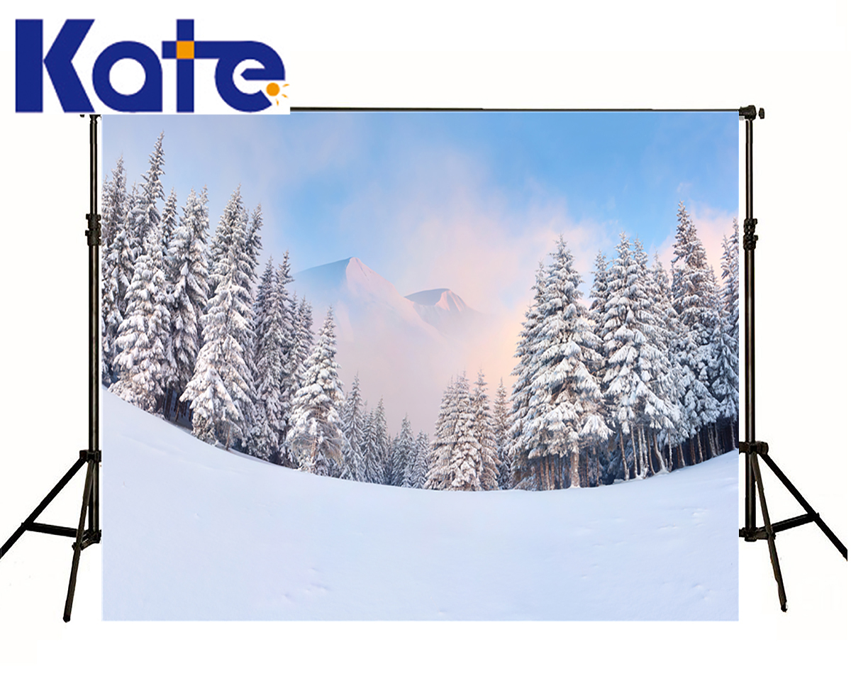 6 5X10Ft font b Photo b font font b Studio b font Backdrop Camera Fotografica Snow