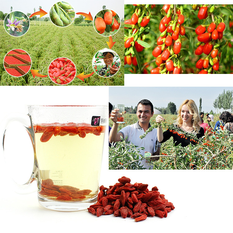 Hot Sale Top Grade Medlar 500g Dried Goji Berries For Sex Goji Berry Wolfberry Herbal Tea
