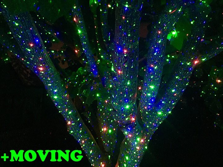 12027759_1639729929638888_1434537662780127369_n